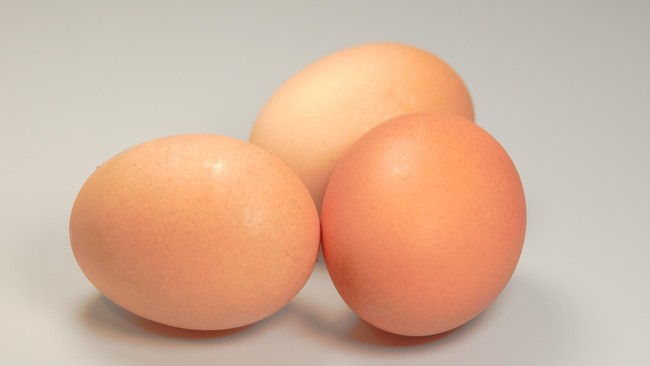 Sama seperti manusia, bayi hewan juga akan mendapat splai kebutuhan dari ibunya. Tapi bagaimana dengan anak ayam dalam telur yang tertutup?