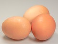 Makan Telur Bikin Bisul Hanyalah Mitos