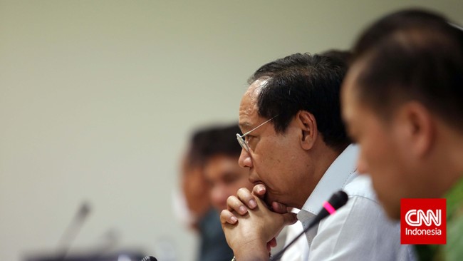 Ketua Umum Partai Persatuan Pembangunan (PPP) versi Muktamar VIII Jakarta, Djan Faridz yakin kepengurusan partai di bawah pimpinannya yang akan disahkan.