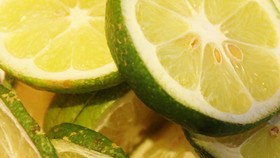 Manfaat Serai dan Jeruk Nipis untuk Diet