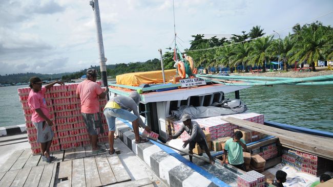 Manokwari has the status of being on the alert for African Swine Fever Virus