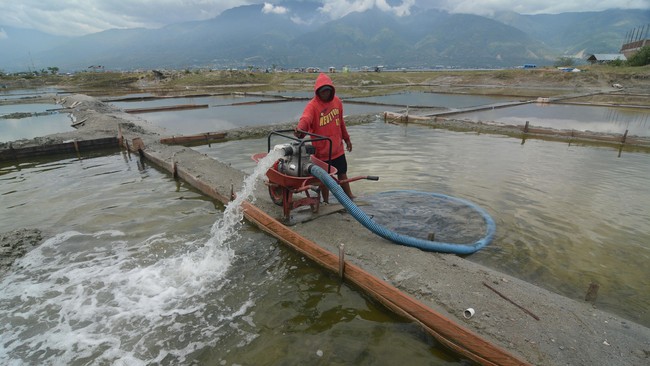 Danantara Gelontorkan Rp26 T Buat Revitalisasi Tambak Pantura Jabar Revitalisasi senilai Rp26 triliun itu menyasar 78 ribu hektare tambak di wilayah Pantura yang kurang produktif, dan dilakukan secara bertahap di 4 kabupaten.