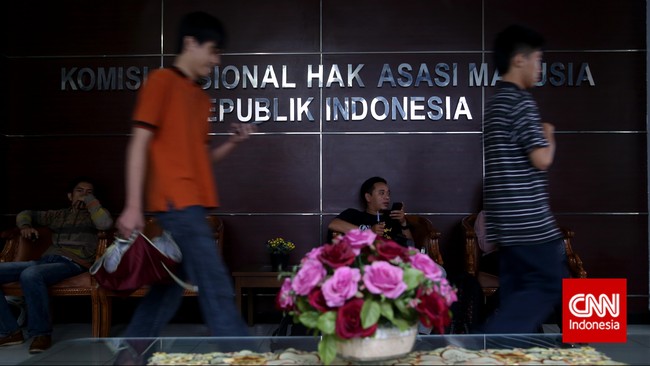 Bagi Komnas HAM Pemberian hukuman tambahan dengan pengebirian, baik kimiawi maupun operasi medis, dapat pula dikualifikasi sebagai pelanggaran hak.