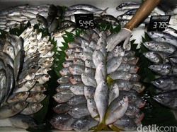Harga Ikan Anjlok Gara-gara Restoran dan Hotel Tutup