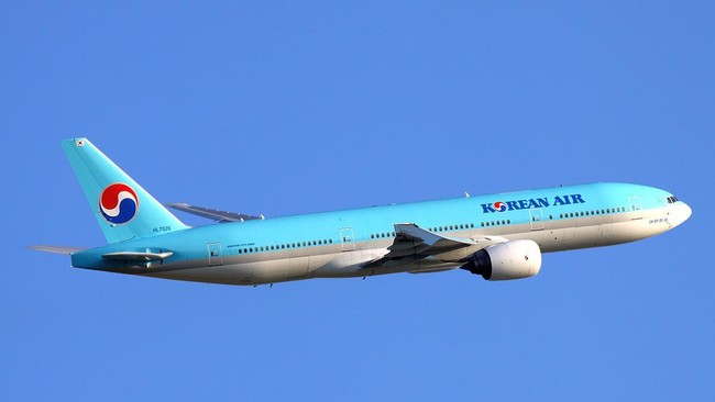 Pesawat Korean Air KE189 turbulensi hebat dalam perjalanan dari Incheon, Korea Selatan, ke Taichung, Taiwan, Sabtu (22/6).