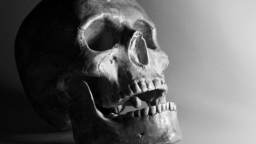 Ini Organ Tubuh yang Mati Paling Awal saat Ajal Tiba