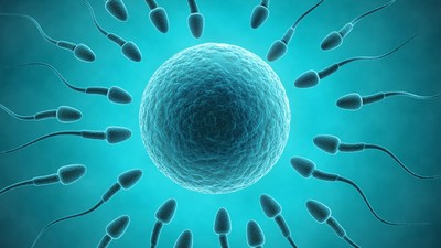 Jumlah Sperma Turun Terus Tiap Tahun, Ancam Kelangsungan Manusia?
