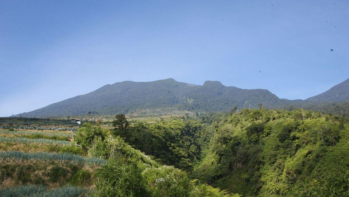 Jalur Pendakian Gunung Gede-Pangrango Ditutup Sepekan Akhir Juli