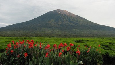 Video Viral Balita Naik ke Puncak Gunung Kerinci, Ini Kata Petugas Pos