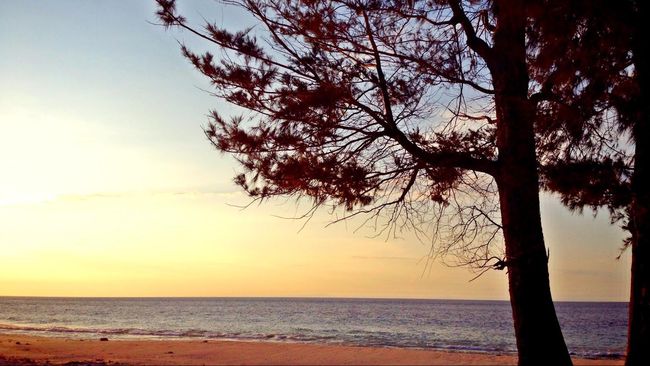 Film Pendekar Tongkat Emas mengambil gambar di Sumba demi memunculkan kesan 'negeri antah berantah'. Lokasi itu punya sejuta wisata alam nan indah.