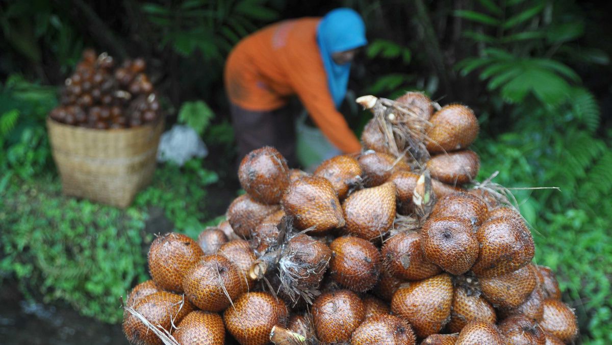 Apa yang Terjadi Jika Makan Buah Salak Setiap Hari?