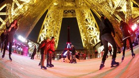 Kisah Cincin dalam Balutan Dedaunan di Paris