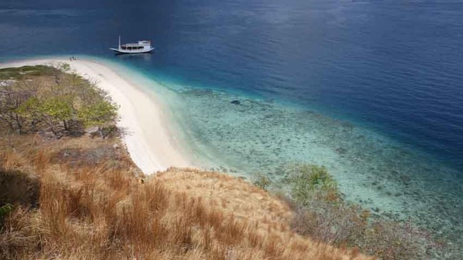 Jokowi menilai Alor di NTT mempunyai pulau dan kekayaan laut nan sangat bagus sehingga sangat disayangkan andaikan tidak didukung pemda setempat.