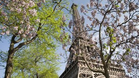 Menara Eiffel Tutup Imbas Aksi Mogok Pekerja