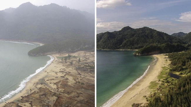 Tsunami tak hanya meninggalkan kisah sedih, tapi juga pelajaran berharga. Membangkitkan kesetiakawanan sosial yang besar. Dunia bersatu dalam kebersamaan.