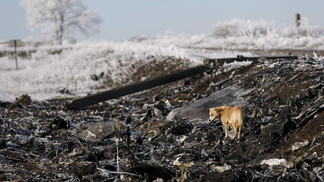 Tudingan mengarah pada Rusia yang disebut memberikan rudal Buk kepada separatis Ukraina dan digunakan untuk menembak jatuh pesawat Malaysia Airlines MH17.