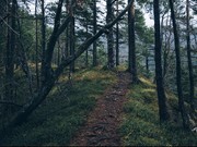 Pakar Temukan Tanaman 'Pemakan Teman' di Jepang