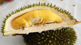 Lima Lokasi Berburu Durian di Jakarta
