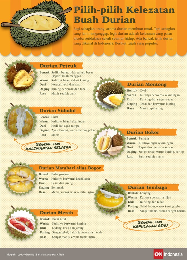 Durian terkenal karena rasa dan aromanya yang khas. Ada banyak jenis durian yang dikenal di Indonesia. Berikut tujuh yang populer.