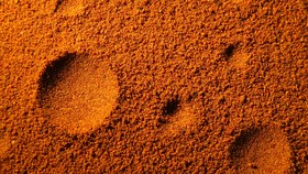Ada 'Tikus Raksasa' di Planet Merah?