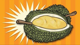 Mengenal Jenis Durian Terpopuler di Indonesia