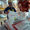 Dua pekerja berada di PT Petro Kimia Gresik (PKG), Gresik, Kamis (18/12). PKG siap melayani dan menyalurkan pupuk bersubsidi kepada petani di seluruh daerah, dengan memantau ketersediaan stok di tujuh Distribution Center (Medan, Padang, Lampung, Ciga