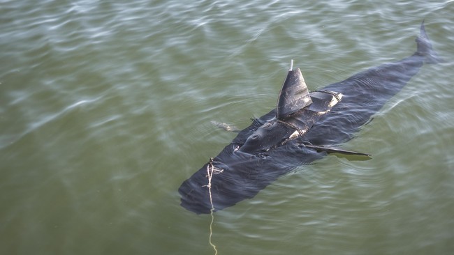 Robot menyerupai ikan tuna sirip biru itu mampu berenang sembunyi-sembunyi ke wilayah para musuh untuk menemukan kelemahan mereka.