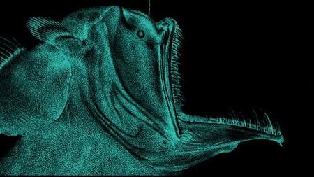 'Monster' Laut yang Terungkap