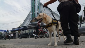 Warga Apatis, Terorisme Akan Semakin Kuat