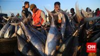 Cerita Seekor Ikan Kerapu Rp4 Juta di Natuna