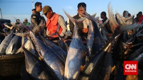 Tekan Biaya, Menteri Susi Bangun Pabrik Pakan Ikan di Medan