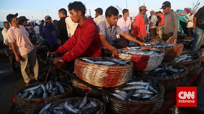 Tren pola peningkatan harga ikan yang terjadi di beberapa kota besar menunjukkan kenaikan harga ikan akan dimulai pada seminggu sebelum puasa.