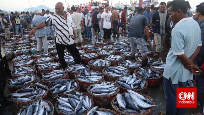 Pemkab Simeulue Aceh Mulai Bidik Pasar Ikan China