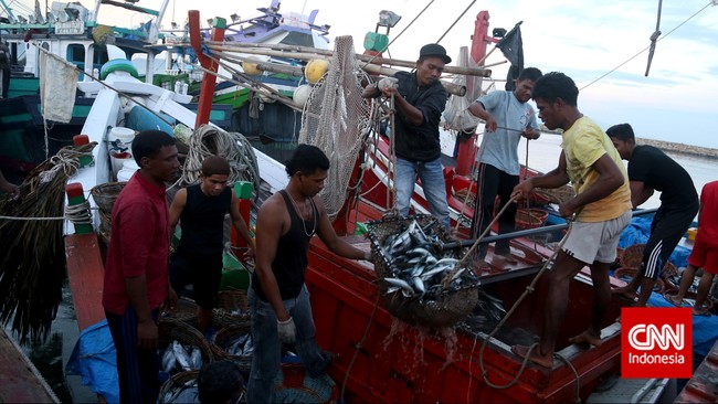 Menteri Kelautan dan Perikanan Susi Pudjiastuti belum juga meneken rancangan peraturan yang memasukkan 11 sektor perikanan sebagai penerima tax allowance.