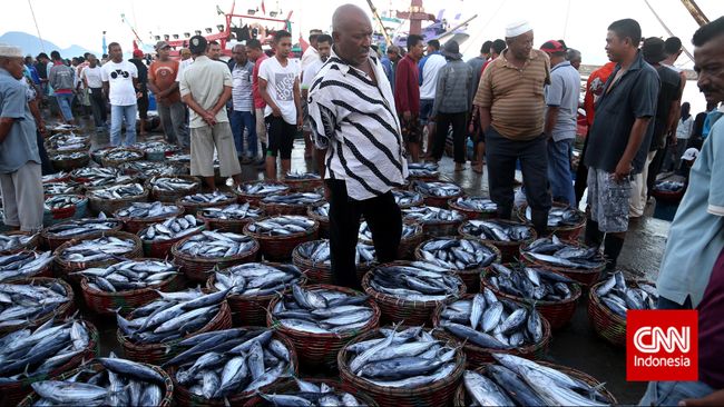 Neraca Perdagangan Ikan Indonesia Surplus US$232 Juta BPS mencatat nilai ekspor ikan nasional pada Oktober 2015 sebesar US$244,58 juta, jauh di atas nilai impornya yang hanya US$12,54 juta.