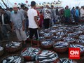 Bulan Puasa, Kebutuhan Ikan Diprediksi Naik Hingga 20 Persen