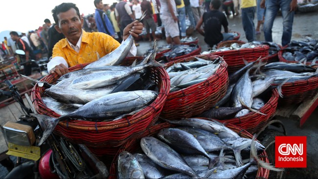 Kebutuhan ikan diperkirakan mencapai 1,18 juta ton selama puasa hingga H+& lebaran atau naik sekitar 20 persen dari kondisi normal. 