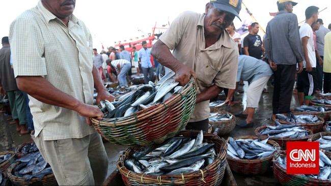 Berdasarkan data tangkapan ikan laut Indonesia tahun 2014, sebanyak 30 persen dari 5,8 juta ton tangkapan senilai Rp 99 triliun mengalami susut pasca panen.