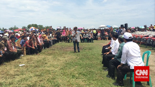 Jokowi malu sebab RI impor beras Vietnam. Petani Tasik, Kribo, minta Jokowi tak malu. "Saya dari 2008 ekspor beras organik ke Jerman, AS, Singapura, Malaysia."
