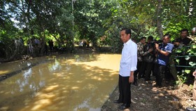 Jokowi Blusukan, Ahok Berniat Ajak ke Kalideres