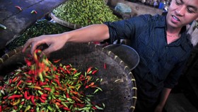 Pedagang Keluhkan Harga Cabai Rawit Merah Tembus Rp100 Ribu
