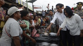 Borong Buah dan Sayur ala Joko Widodo