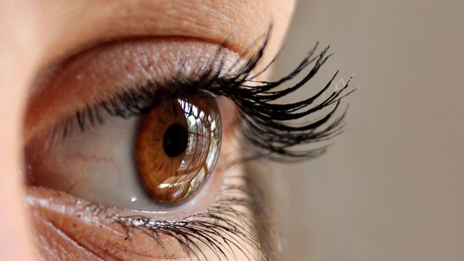 Saat ini ada teknologi heated eyelash curler, penjepit bulu mata yang mirip seperti catokan. Apakah heated eyelash curler aman dipakai?