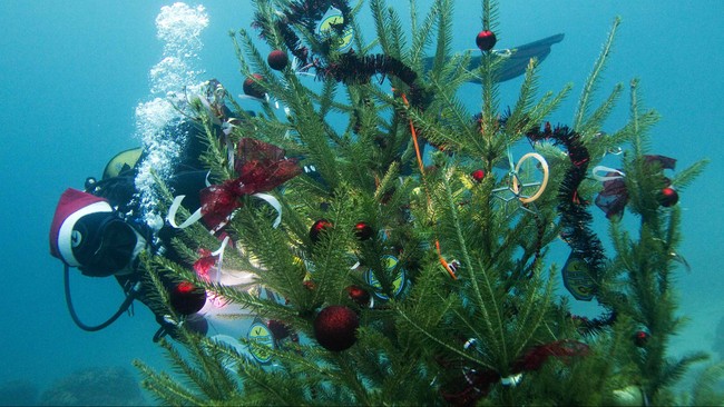 Jelang Tahun baru, sekelompok penyelam Rusia meminum sampanye di dasar teluk yang hampir membeku di Vladivostok dan menari mengitari pohon Natal.