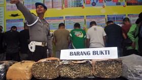 Bagaimana Proses Hukum yang Dijalani Pengguna Narkoba?