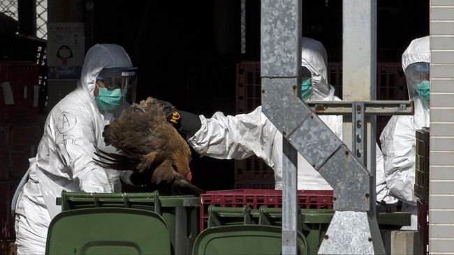 Otoritas Hong Kong menyatakan, seorang pria tua warga setempat yang diketahui terpapar flu burung telah meninggal dunia.