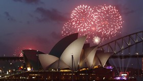 Kemeriahan Pertunjukan Kembang Api di Sydney