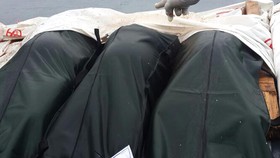 Satu Lagi Jasad Ditemukan, Total Sudah 8 Dievakuasi