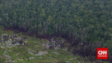 Dansatgas Cartenz mengatakan saat ini masih dilakukan berbagai upaya untuk mengetahui keberadaan pilot Susi Air yang pesawatnya dibakar KKB.