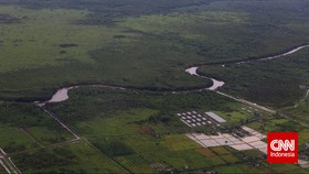 Hutan Kalimantan Bakal Hijau Kembali Jika Pindah Ibu Kota